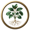 GAP Farm Production icon